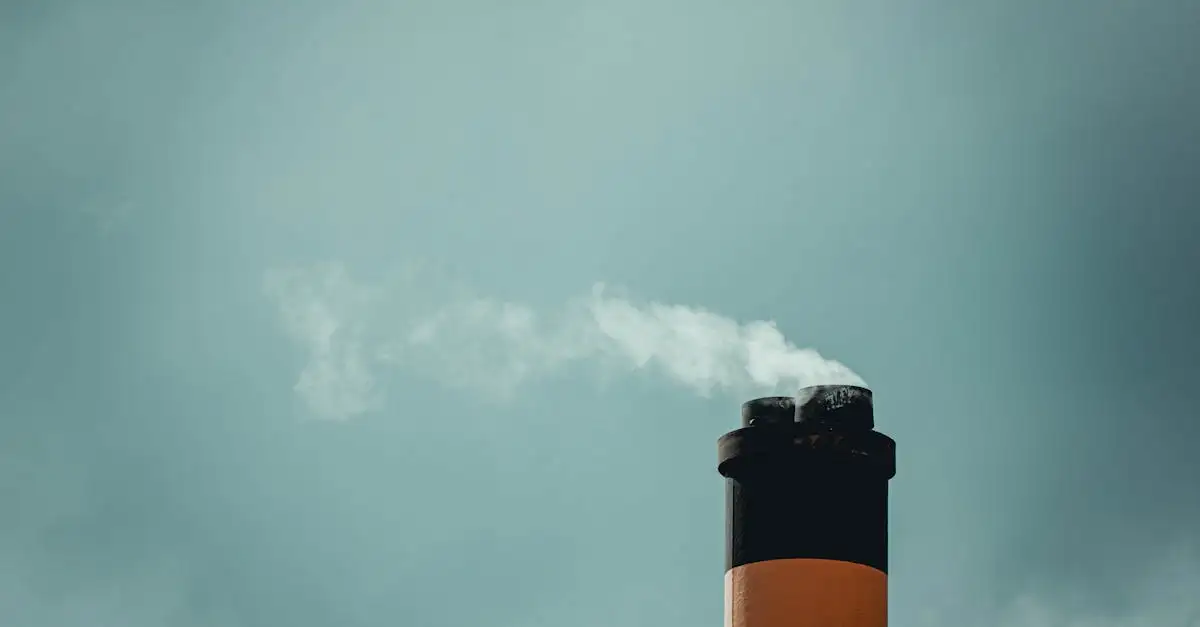 GroenLinks en klimaat: beleid en acties voor een duurzame