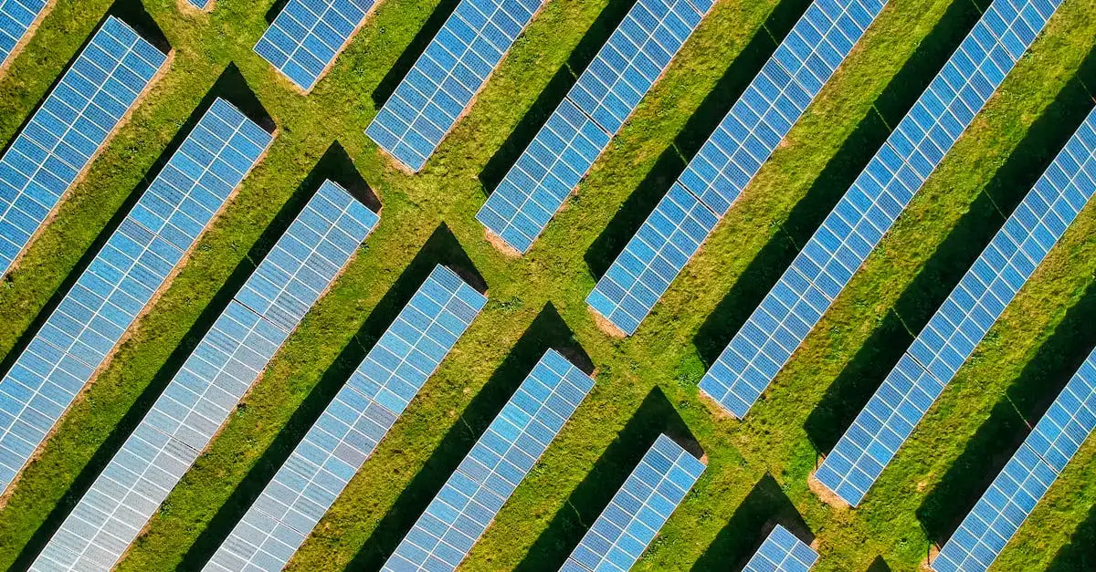Klimaat aarde: oorzaken, gevolgen en oplossingen