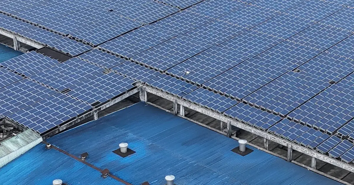 Klimaat aarde: oorzaken, gevolgen en oplossingen