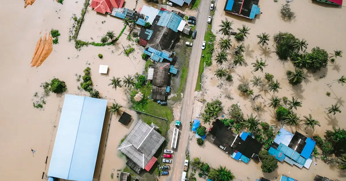 Klimaatverandering op Bonaire: oorzaken en gevolgen