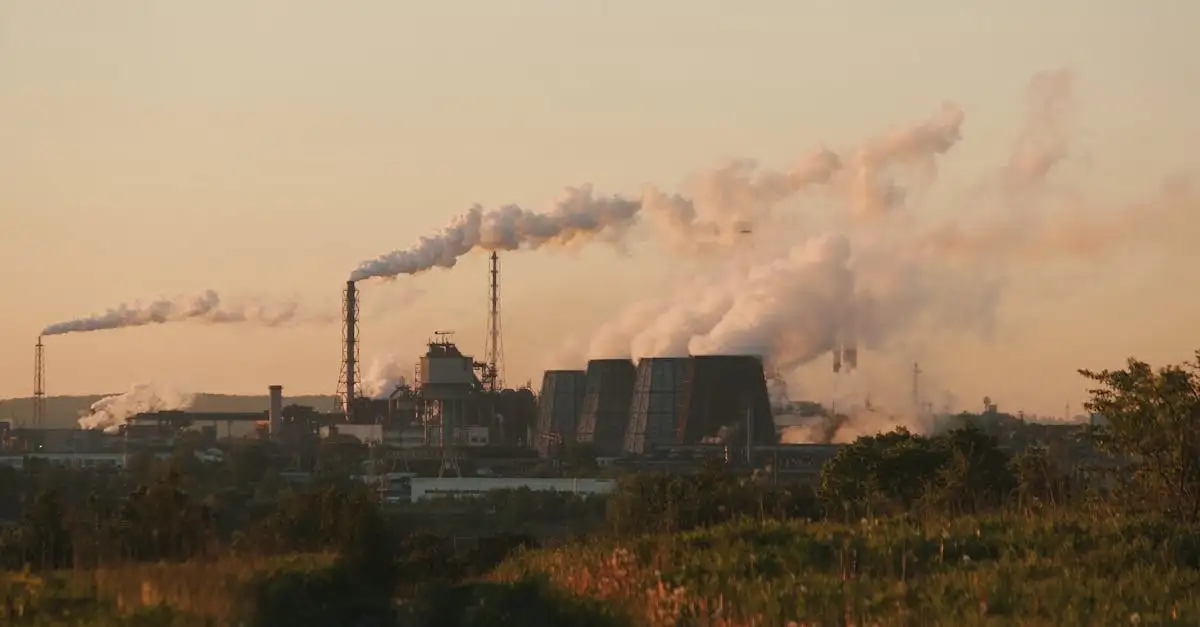 Broeikaseffect oorzaken: wat zijn de belangrijkste factoren?
