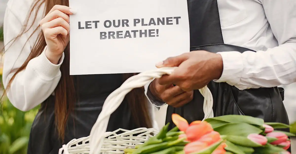 CO2 en klimaatverandering: oorzaken en oplossingen