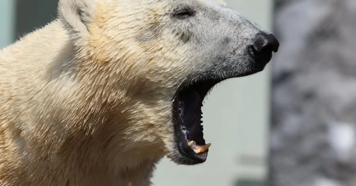 Gevolgen klimaatverandering voor dieren en natuur