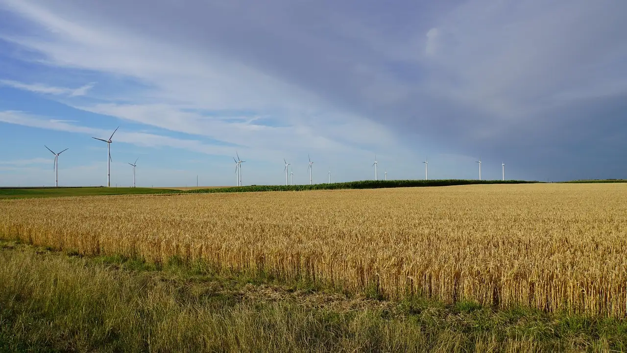 Invloed klimaatverandering op mens en milieu