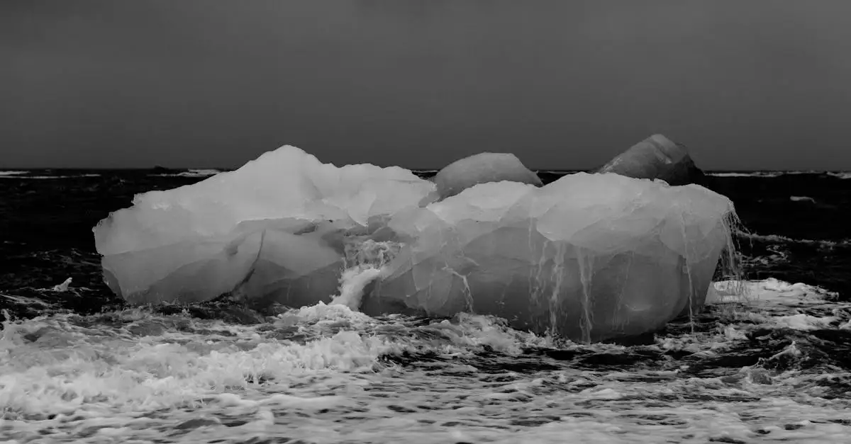Klimaatverandering op de Noordpool: oorzaken en gevolgen