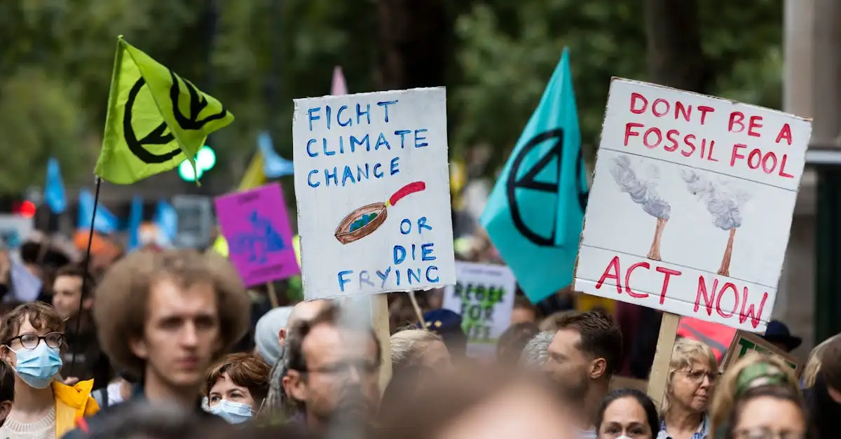 Oorzaken opwarming van de aarde: wat drijft